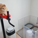 피피푸푸 이미지