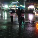 인생포장마차 이미지