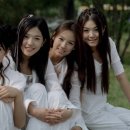 핑클 - 양주시 개나리9길 8 | 핑클