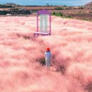 푸른어린이공원 공원화장실 이미지