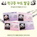 쌍둥이하우스 이미지