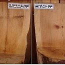 서울소나무의원 이미지