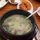 일루장어 이미지