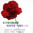 로즈마리 펜션 이미지