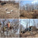 [파주 만월봉]웅비교-남산-만월봉-설원교-직천저수지-비학산-상서대-웅비교