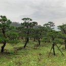 모치울 이미지