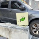 린다플랜트 이미지