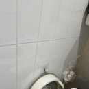 꽃피는 무릉도원 이미지