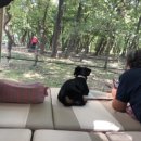 자인계정숲 이미지