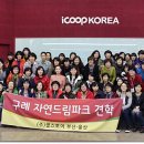 쿱스토어울산 이미지