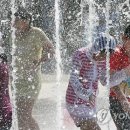 대통령공원 진돗개 이미지