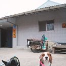 영화펜션민박 이미지