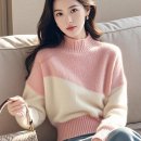 소프트P.J 이미지