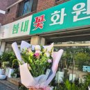 화원 | 춘천 우두동 봄내화원 후기, 생활 속 꽃을 찾는다면 이곳
