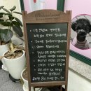 멍멍아준비땅 이미지