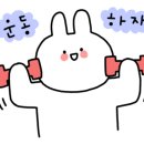 상인동헬스장민트고래짐 이미지