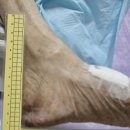 부천삼성요양병원 이미지