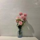 오브더데이(of the day) | [오브더데이] 청주 성안길 카페