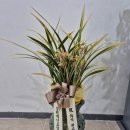 명원무역 이미지