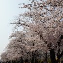 정인한우 이미지