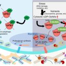 연세본정형외과마취통증의학과의원 | 강남재활의학과의원, '퇴행성 관절염' 통증이 반복되는 진짜 이유.