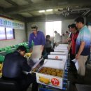 성주수산 이미지