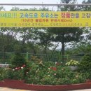 물레방아주유소 이미지