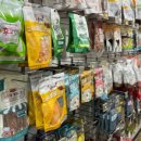 팻키우소 이미지