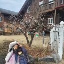 어린이보험 추천앱 보답 비교 추천 후기