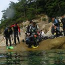 하야루비 이미지