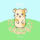 수원천 | [경기 수원시] 광교산 등산후기(등산코스, 주차장, 수원시 자전거 반디클)