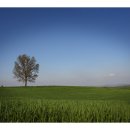 연두목장 이미지