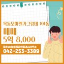 일등공인중개사사무소 네이버블로그