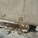 대류농장 이미지