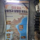 전국 중요 양봉원과 양봉장 분포도 ( 1910년~1935년 기준 현황 ) 이미지