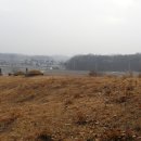 임원준 선생묘 이미지