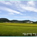 석탄정(石灘亭) 네이버블로그