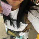 개야리 보금자리민박 간이화장실 | FUJI ROCK FESTIVAL&#39;24 준비~출발~전야제 (캠핑준비)