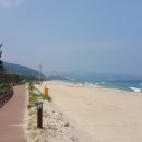 망상오토캠핑리조트 이미지