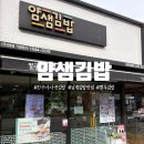 얌샘김밥도통점
