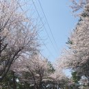 해와달민박 이미지