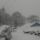 다도예절+꽃차 만들기 이미지