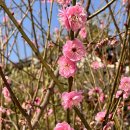 충혼 | 밀양 가볼만한 곳 표충사 부모님과 산책 사명대사 충혼(ft. 주차장)