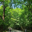 [걷기] 선암사(순천)