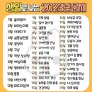 생일로 보는 2023년 신년운세 이미지