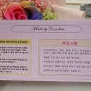 컨브리오 이미지