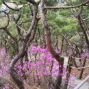 백영약수터