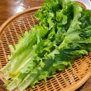 약선한방족발보쌈 | [사가정] 파김치가 맛있는 족발 맛집을 찾는다면 '용마한방족발보쌈' 내돈내산 후기 + 주차/영업정보