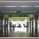 대전대학교박물관 이미지