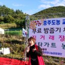 맥타가트 농장 이미지